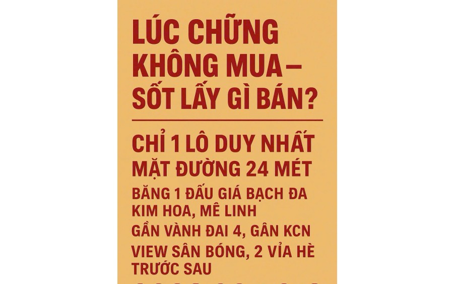 đất VÀNH ĐAI 4 khu đất đấu giá Bạch đa Kim Hoa MÊ LINH , HÀ NỘI cam kết bán đúng giá chủ thu